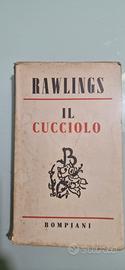 Il Cucciolo - Bompiani 1942 