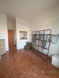 Locale box dragona