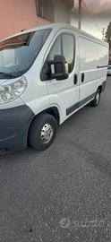 fiat ducato  peugeot  boxer 