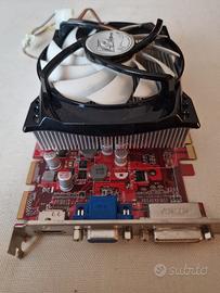 Scheda grafica Asus ATI Radeon 1GB