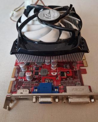 Scheda grafica Asus ATI Radeon 1GB