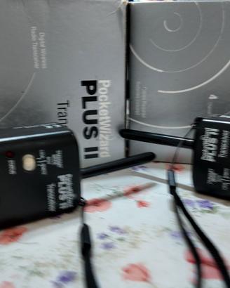 2 telecomandi flesh professionali pochet plus