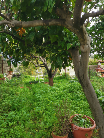 Appartamento con giardino e garage