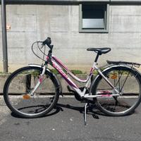 Bicicletta per ragazzi