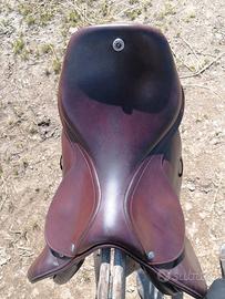 sella inglese Zaccaria 