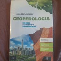 libro-GEOPEDOLOGIA ISBN 978-88-482-6482-2