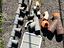 Immagine 5