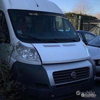 Ducato anno 2008 ricambi