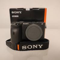 Sony a6600