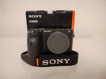 Sony a6600