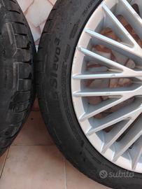 Gomme con un mese di vita
