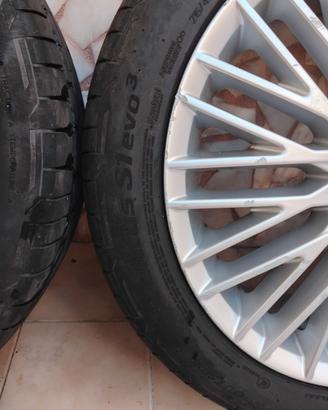 Gomme con un mese di vita