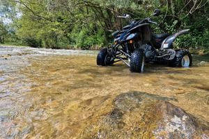 Yamaha Raptor 660 Quad
