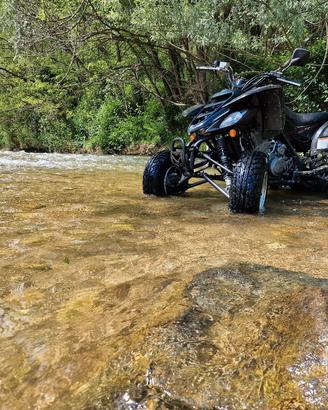 Yamaha Raptor 660 Quad