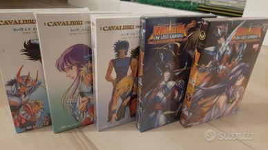 dvd cavalieri dello zodiaco saint seiya