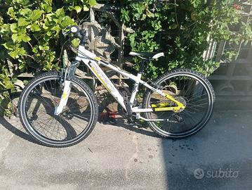 mtb carerra