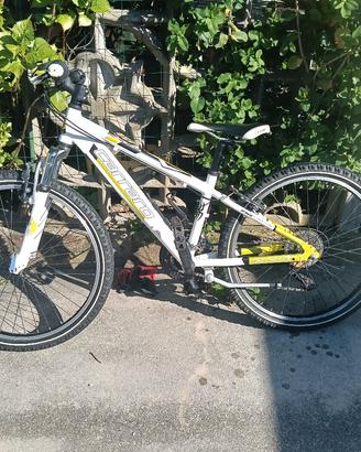 mtb carerra