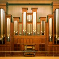 Organista,pianista,violincellista,violinista