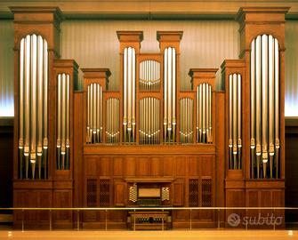 Organista,pianista,violincellista,violinista