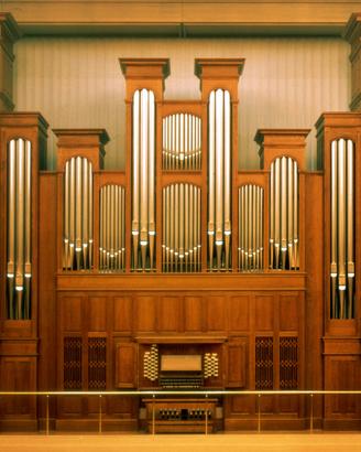 Organista,pianista,violincellista,violinista