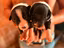 Immagine 5