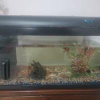 acquario 50 litri