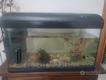 acquario 50 litri