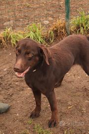 STELLA giovanissima meraviglia