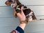 Immagine 2