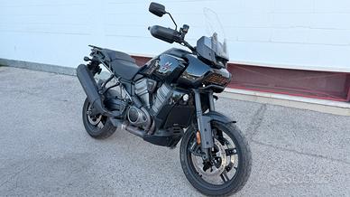Harley davidson Pan America