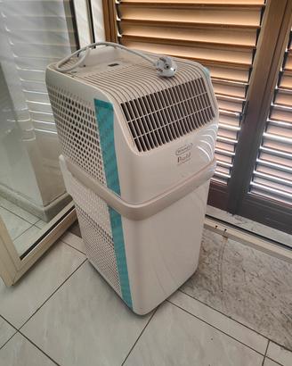 pinguino de longhi compact