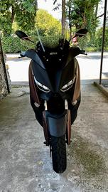 Xmax 300