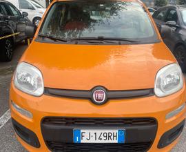 Fiat Panda 1.2 Benzina Anno 2017