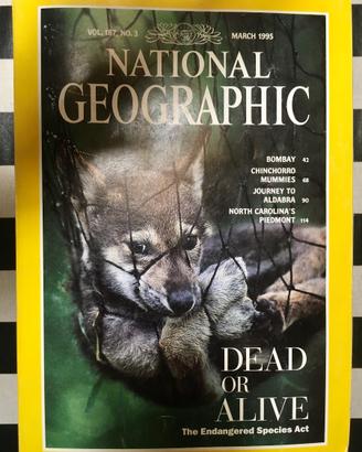 Rivista National Geographic 20 numeri