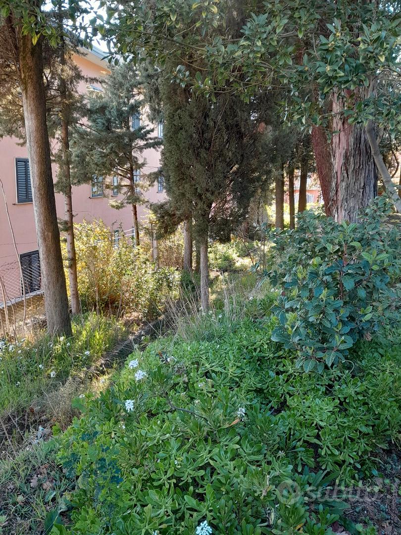 House in San Giovanni Rotondo, Foggia - Vista 4