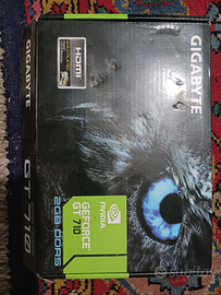 C.E.R.C.O. Scheda video W10 o w11