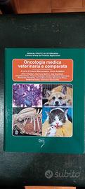 testo universitario 