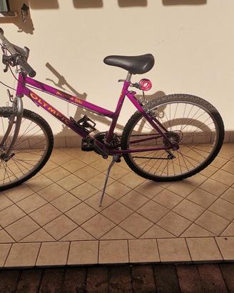 BICICLETTE