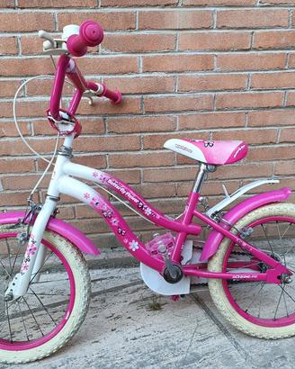 bicicletta 