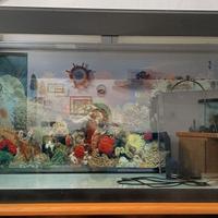 Acquario Askoll Tenerife 200 litri