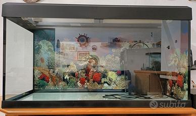 Acquario Askoll Tenerife 200 litri