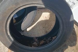 gomme 205/55r16
