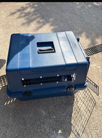 Kennel