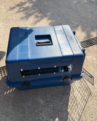 Kennel