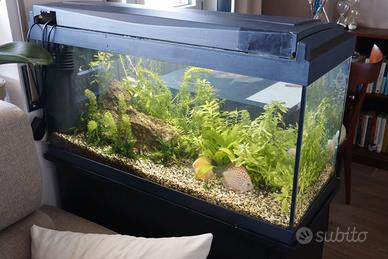 MOBILE + ACQUARIO 120  LITRI COMPLETO