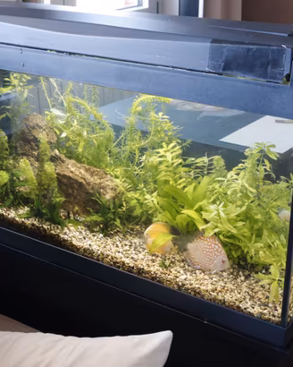 MOBILE + ACQUARIO 120  LITRI COMPLETO
