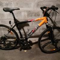 2 Biciclette Mountain Bike