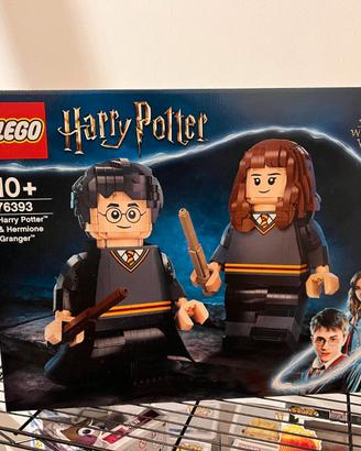 LEGO 76393 - Harry Potter ed Hermione Granger