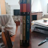 Belle arti ,Storia dell’arte Guida insegnante