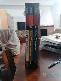 Belle arti ,Storia dell’arte Guida insegnante